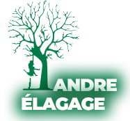 elagage-andre-elagage